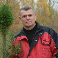 Отзыв от Аркадий - Виза Destination Thailand